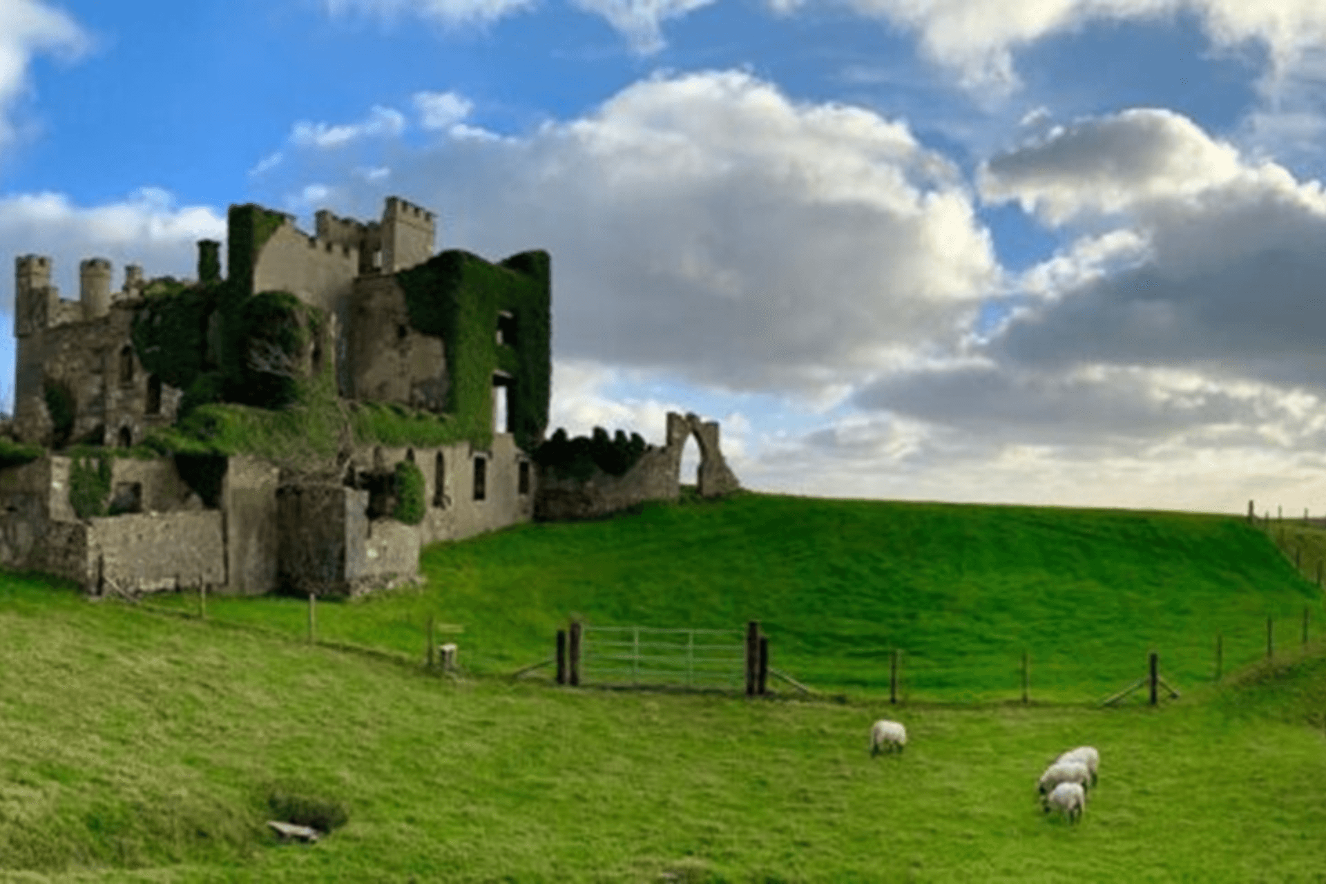 Clifden Castle and the Walk That Tells Its Story