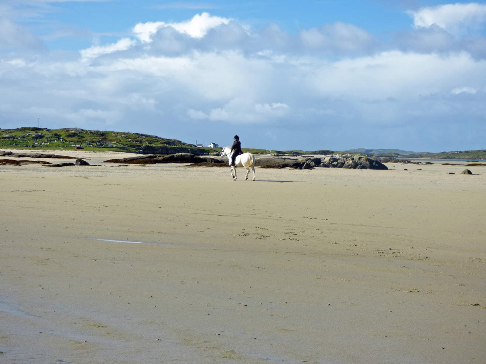 Horse Riding