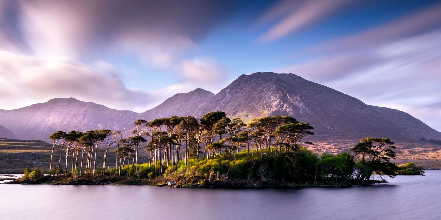 Pine-Island-Connemara.jpg