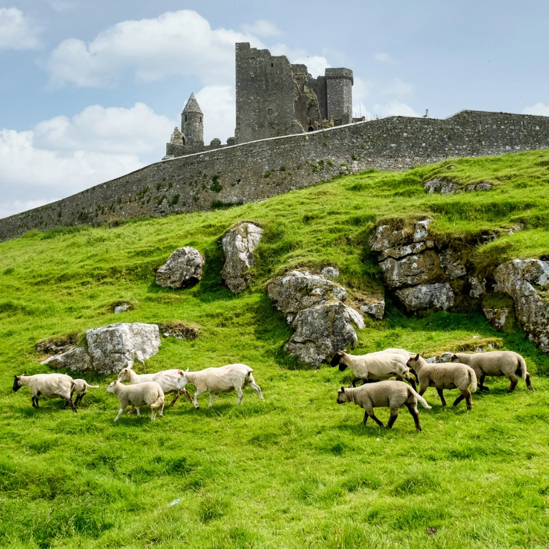 Cashel Accommodation
