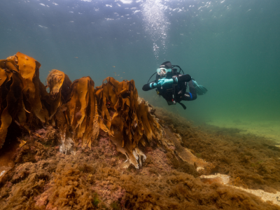 Scuba Diving Connemara