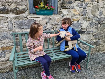 Glengowla Mines Family Farm Experience Sheep, Connemara, Co Galway_Web Size