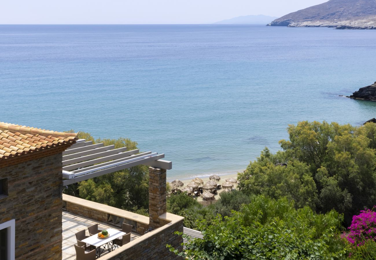 Villa in Andros - Seaview Beach House 