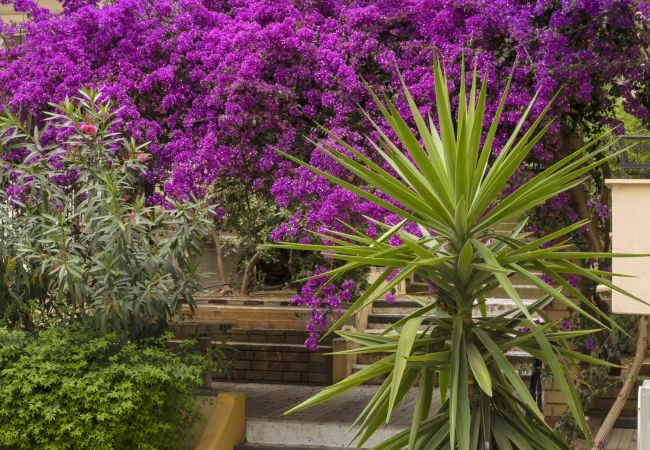 Apartment in Athens - Stylish 2BR pays homage to timeless charm. Apartment in Athens - Stylish 2BR pays homage to timeless charm.