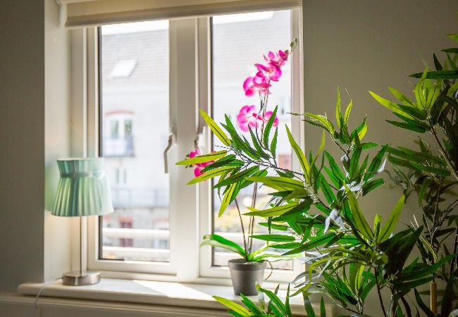 Apartment in Clifden - Pink Blossom Townhouse Chic apt Apartment in Clifden - Pink Blossom Townhouse Chic apt