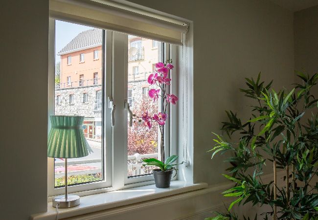 Apartment in Clifden - Pink Blossom Townhouse Chic apt Apartment in Clifden - Pink Blossom Townhouse Chic apt