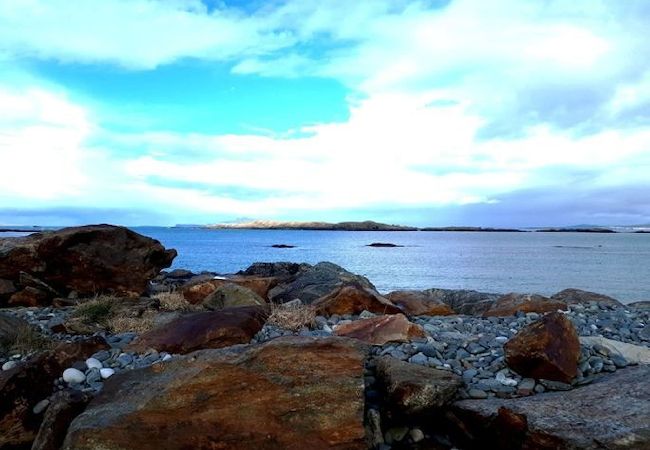 Apartment in Clifden - Pink Blossom Townhouse Chic apt Apartment in Clifden - Pink Blossom Townhouse Chic apt