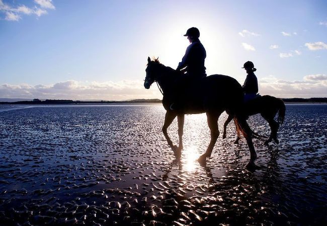 Apartment in Clifden - Pink Blossom Townhouse Chic apt Apartment in Clifden - Pink Blossom Townhouse Chic apt
