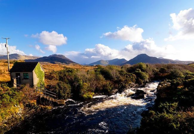 Apartment in Clifden - Pink Blossom Townhouse Chic apt Apartment in Clifden - Pink Blossom Townhouse Chic apt