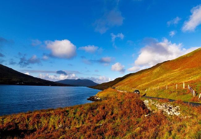 Apartment in Clifden - Pink Blossom Townhouse Chic apt Apartment in Clifden - Pink Blossom Townhouse Chic apt