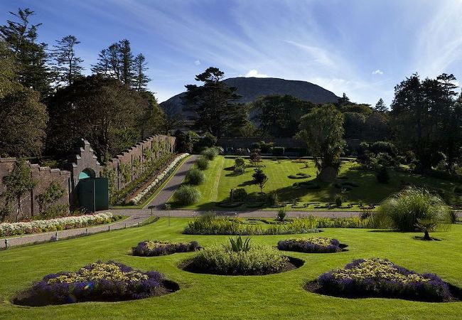 Apartment in Clifden - Pink Blossom Townhouse Chic apt Apartment in Clifden - Pink Blossom Townhouse Chic apt
