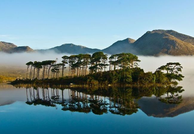 Apartment in Clifden - Pink Blossom Townhouse Chic apt Apartment in Clifden - Pink Blossom Townhouse Chic apt