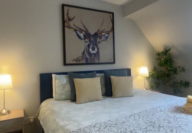 Apartment in Clifden - Pink Blossom Townhouse Chic apt Apartment in Clifden - Pink Blossom Townhouse Chic apt