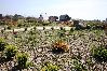 House in Spiddal - The Uplands Spiddal family friendly and spacious