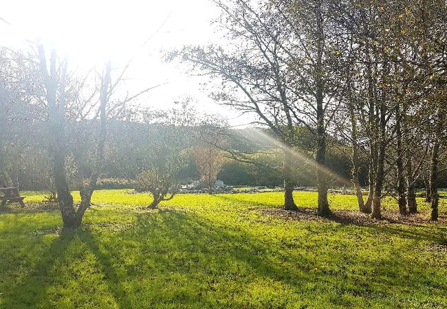 House in Clifden - 68 Clifden Glen ideal base to explore Connemara. House in Clifden - 68 Clifden Glen ideal base to explore Connemara.