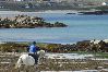 House in Connemara - Waterside Cottage stunning sea & mountain views. 