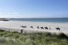 House in Ballyconneely - Luxury Coastal Escape in Ballyconneely, Connemara