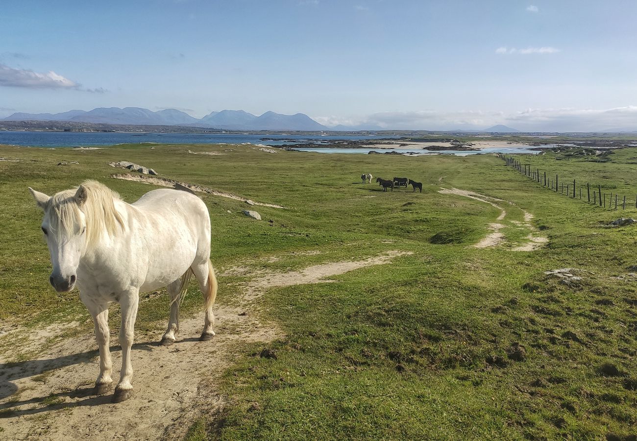 Bungalow in Ballyconneely - Little Tara an ideal location for family & friends