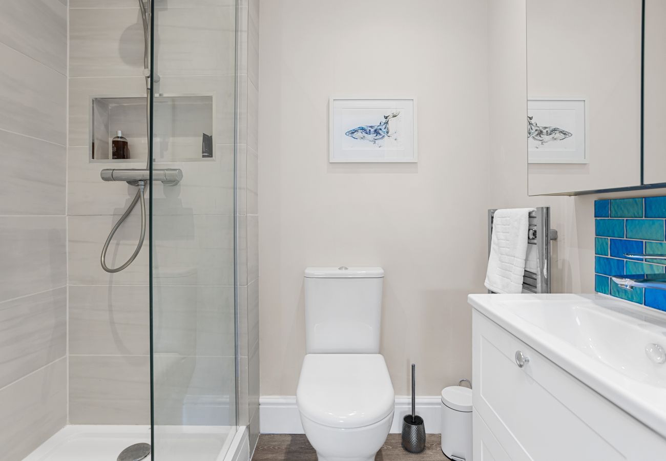House in Dartmouth - Homefield - Chic charm with unrivalled river views