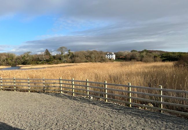 House in Clifden - River Cottage, close to the Capital of Connemara House in Clifden - River Cottage, close to the Capital of Connemara