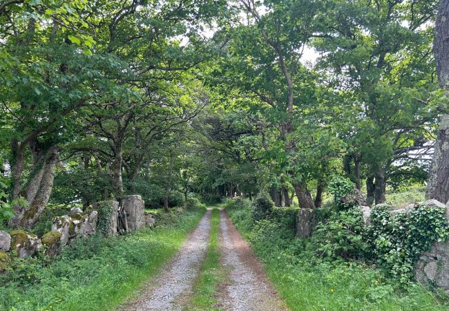 House in Rosmuck - Hawthorn House - Luxurious stay with scenic views House in Rosmuck - Hawthorn House - Luxurious stay with scenic views