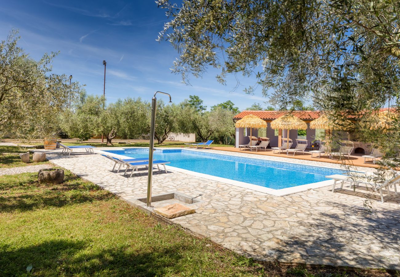 Apartment in Fažana - Marceta Apartment 1 - Pool and Big Garden