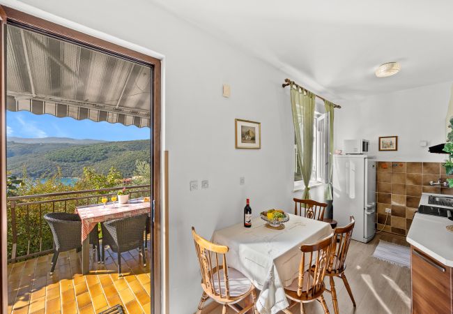 Apartment in Rabac - Apartment Neda with Magnificent sea View Apartment in Rabac - Apartment Neda with Magnificent sea View