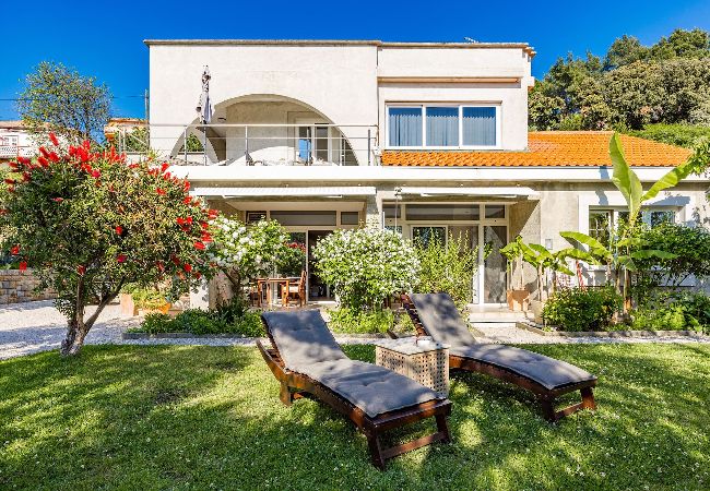 Apartment in Banjol - Magical Garden with Shared Jacuzzi - Blanka A2 Apartment in Banjol - Magical Garden with Shared Jacuzzi - Blanka A2