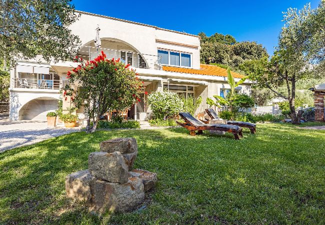 Studio in Banjol - Magical Garden, Shared Jacuzzi - Studio Blanka  Studio in Banjol - Magical Garden, Shared Jacuzzi - Studio Blanka