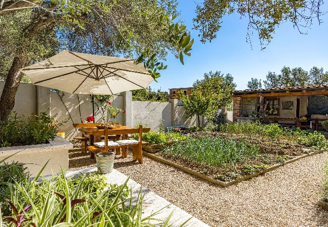 Studio in Banjol - Magical Garden with Shared Jacuzzi - Blanka C2 Studio in Banjol - Magical Garden with Shared Jacuzzi - Blanka C2