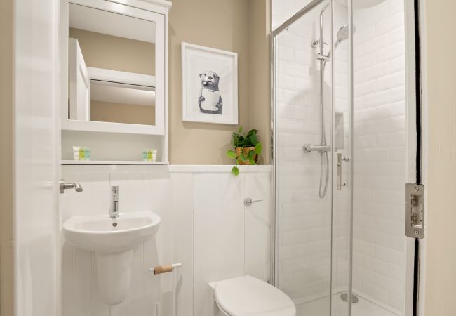 Studio in Clifden - Main Street Hideaway A Lush Retreat in Clifden Studio in Clifden - Main Street Hideaway A Lush Retreat in Clifden