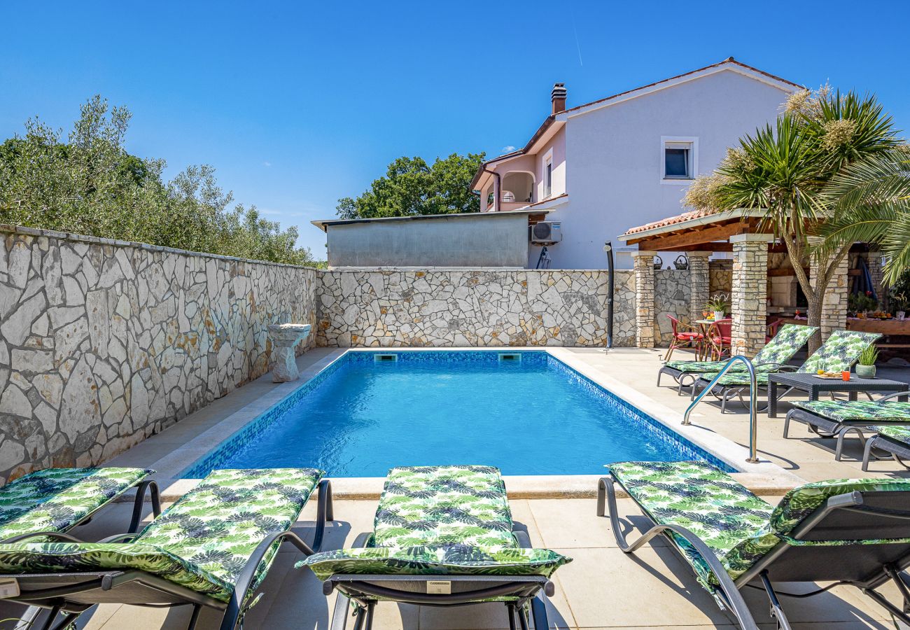 Villa in Šišan - Cozy Villa for 10 with Pool, BBQ, Billiards