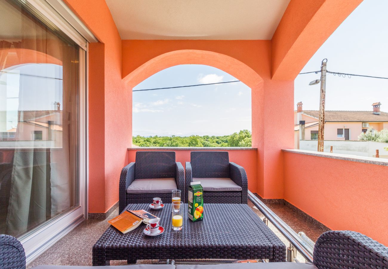 Villa in Šišan - Cozy Villa for 10 with Pool, BBQ, Billiards