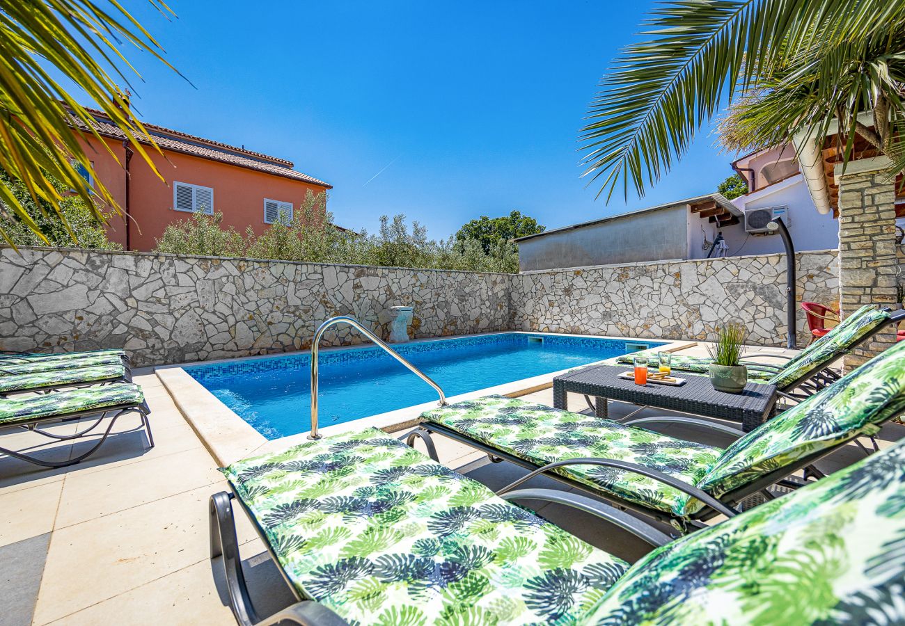 Villa in Šišan - Cozy Villa for 10 with Pool, BBQ, Billiards