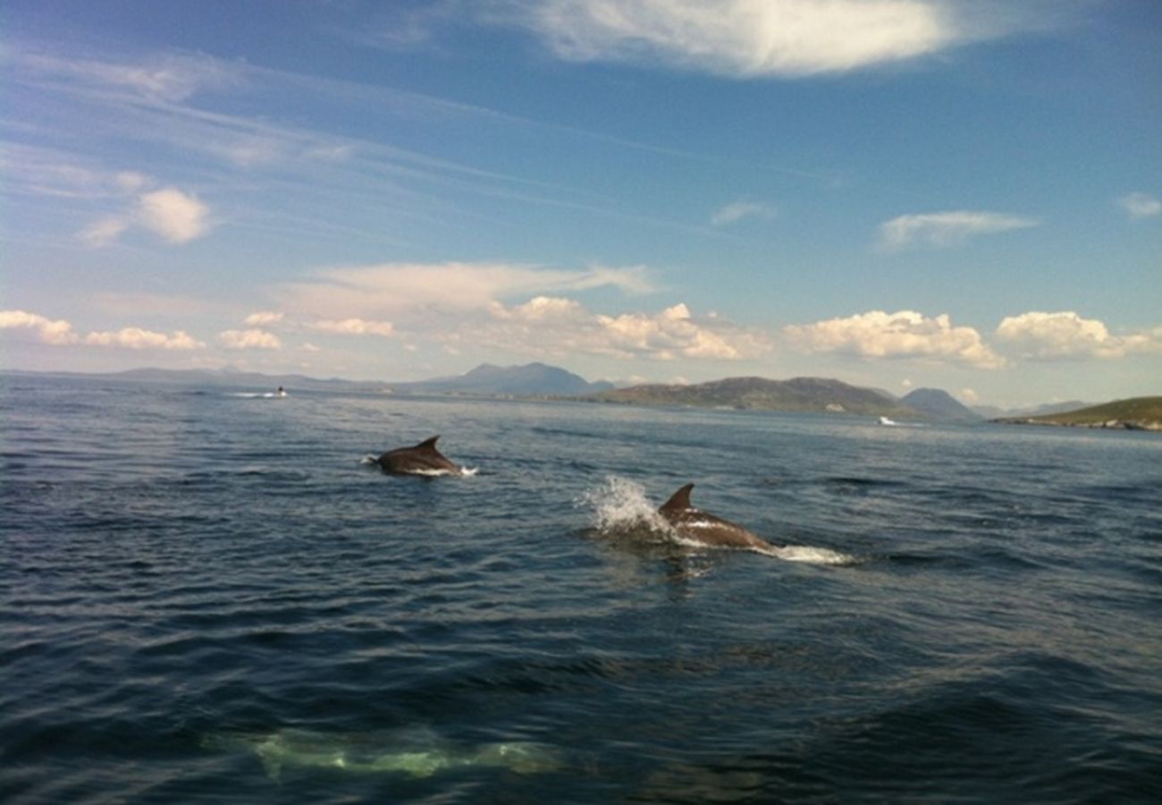 House in Cleggan - Hughs Cottage Panoramic Sea & Lake Views