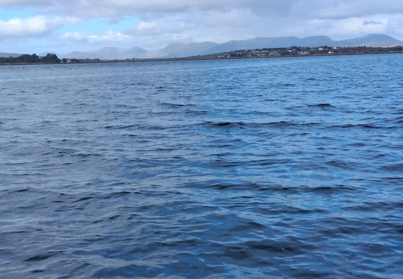 House in Carraroe - Luxury by the Water at St Thomas Bay