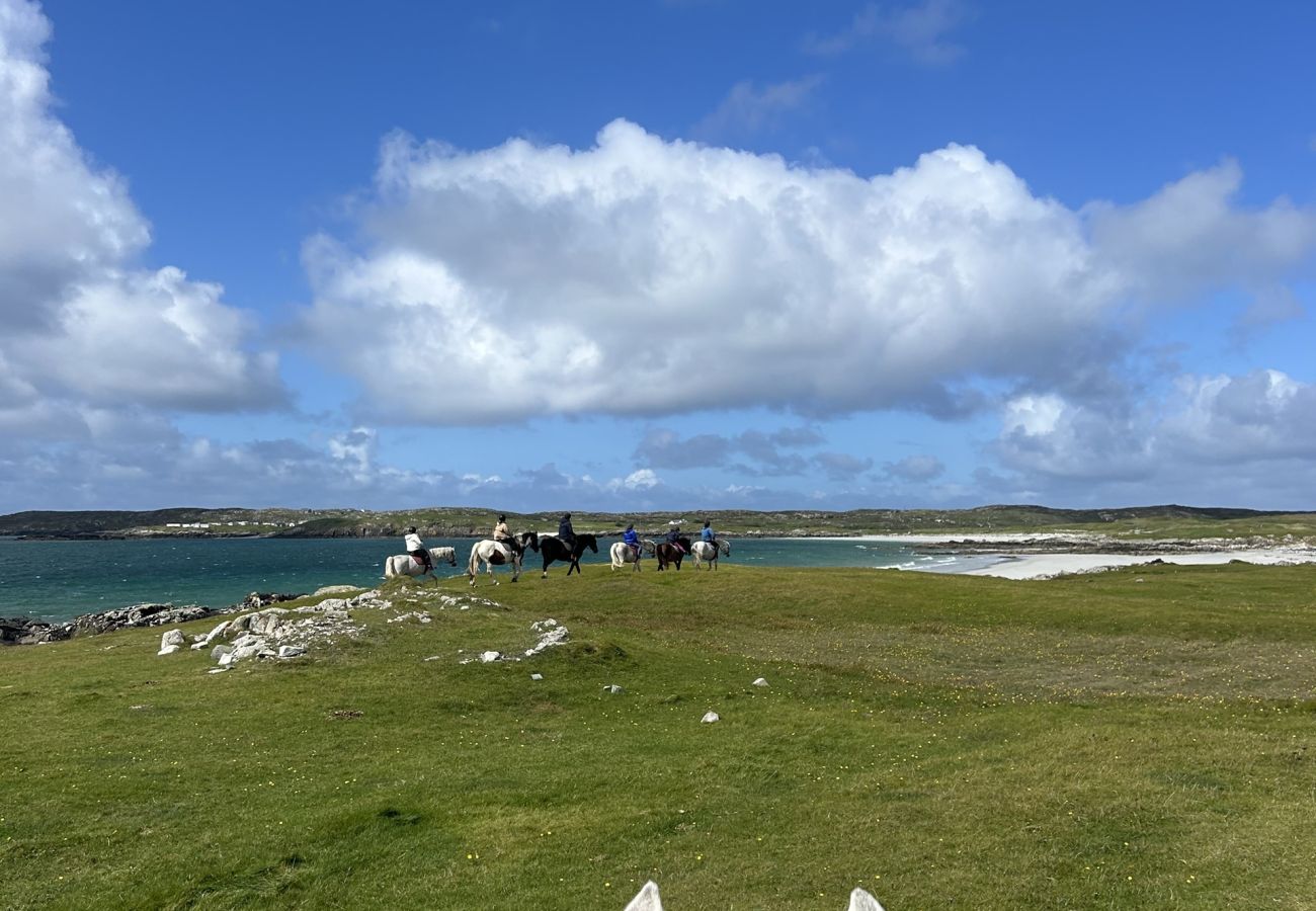 Apartment in Clifden - Village Centre Haven One Bed Apartment 
